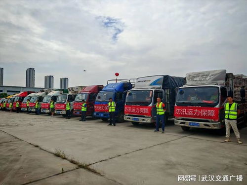 练战结合 提升新区道路货运应急运力保障水平